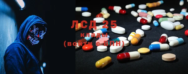 сатива Армянск