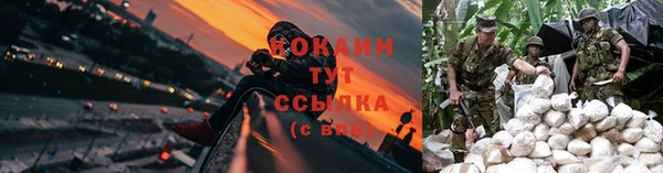 сатива Армянск