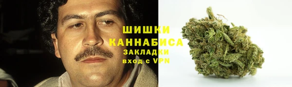 PSILOCYBIN Баксан