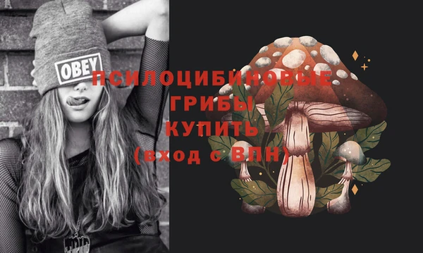 mix Аркадак