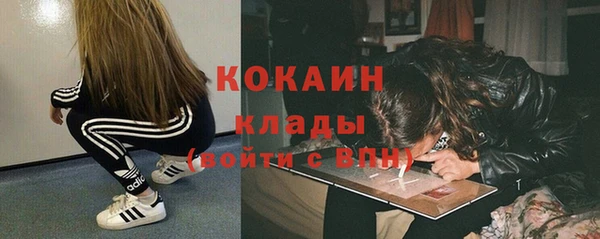 сатива Армянск