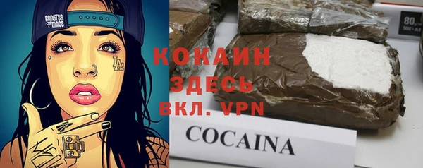 сатива Армянск