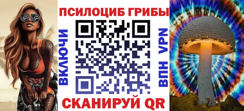 купить  сайты  Порхов  Галлюциногенные грибы Psilocybine cubensis 